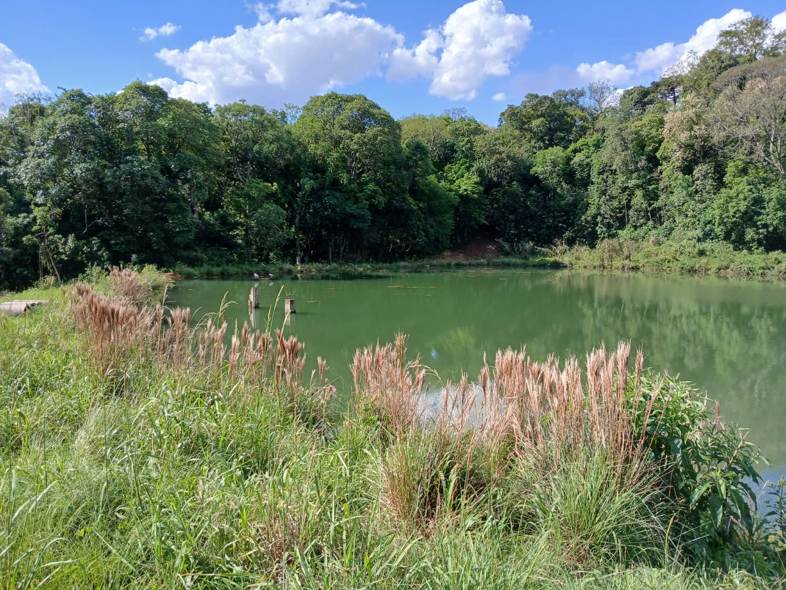Chácara São João da Bela Vista